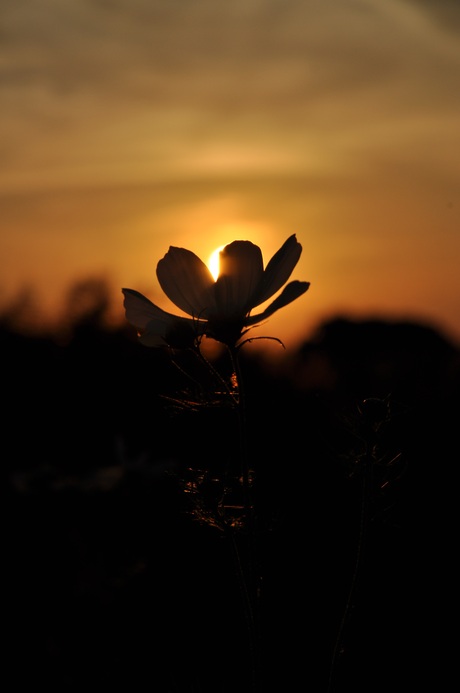 Zonsondergang Noordpolderzijl