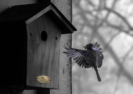 Prepared for landing