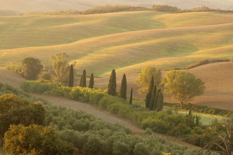 Goedemorgen Toscane