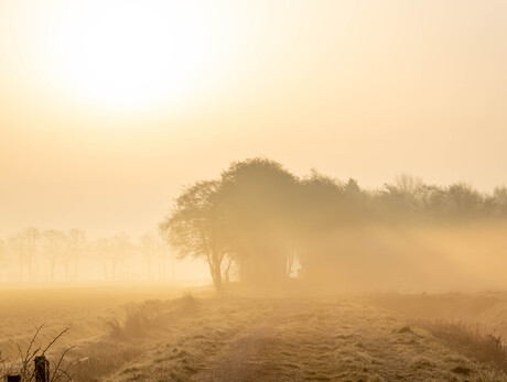 Mistig in Meeden