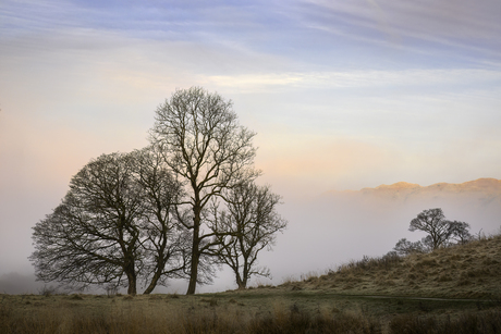 S'morgens in het Lake District 
