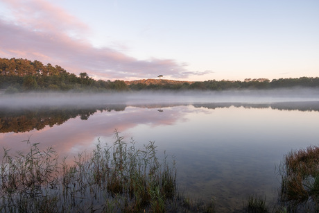 Klein beetje mist over het duinmeer