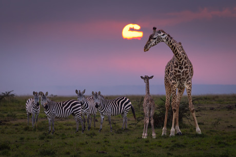 geboren met zonsondergang