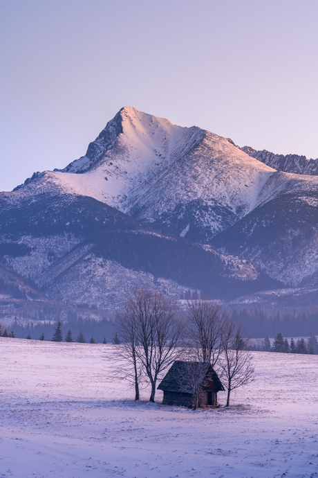 Tatra