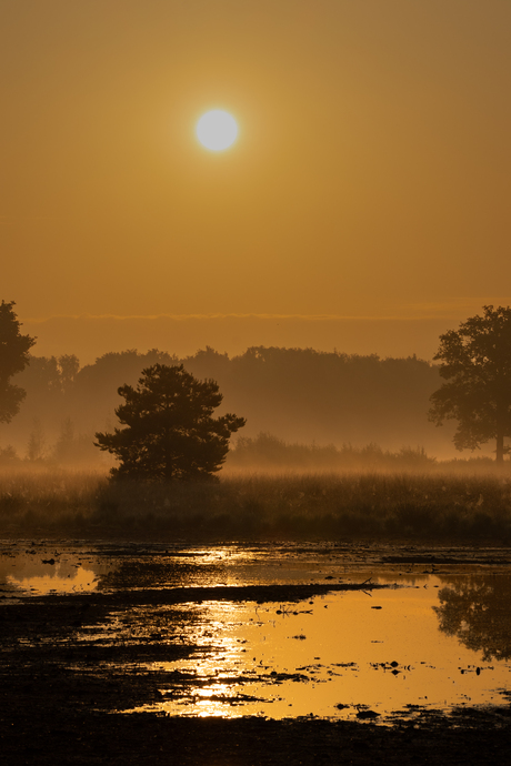 Zonsopkomst