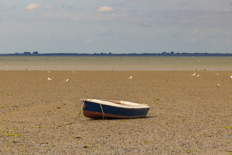 Eenzaam bootje...