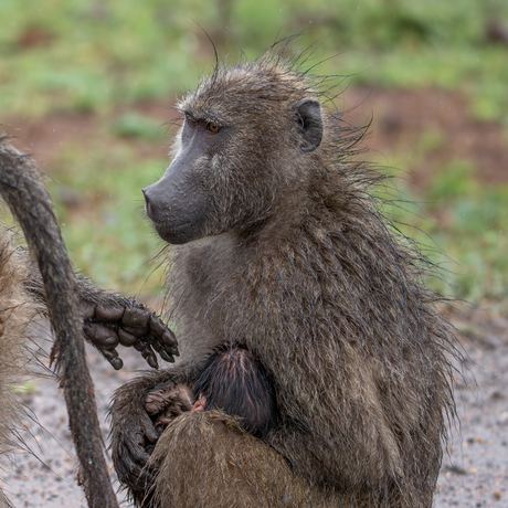Geef mij maar je hand..