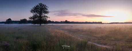 Mistige zonsopkomst...