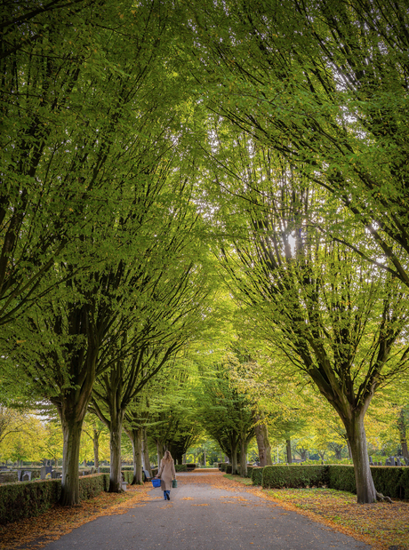 Herst op de begraafplaats