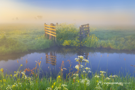 Tussen mist en ochtendlicht...