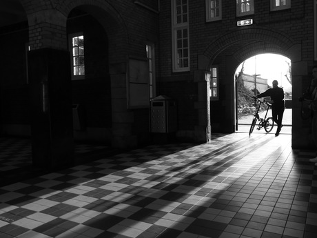 Step into the light