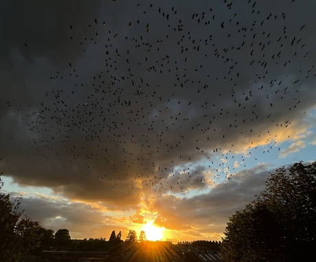 Zonsondergang.
