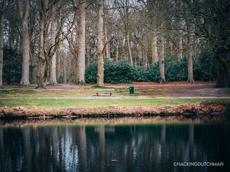 Scenisch