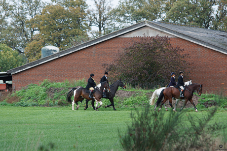 nogmaals de 4 paarden en ruiters