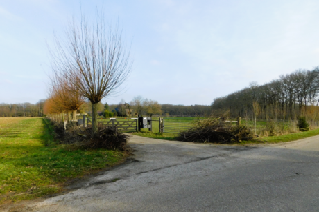 Het perspectief van het Brabantse Land.