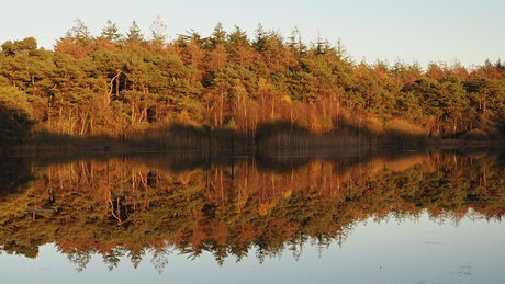  Natuurlijke weerspiegeling