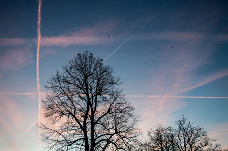 Ochtend wandeling winter