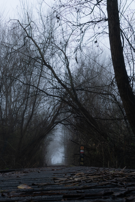 mist en water in park 