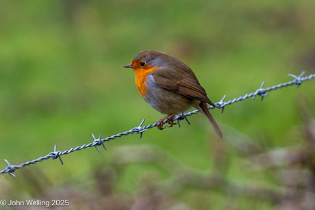 Wandeling rondom deventer