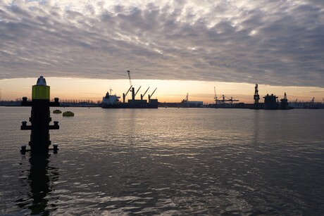 Waalhaven Rotterdam.