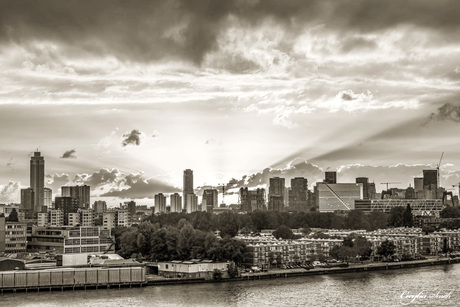 Skyline Rotterdam 