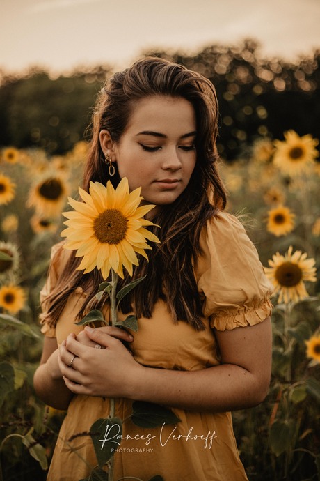sunflower & Sunset