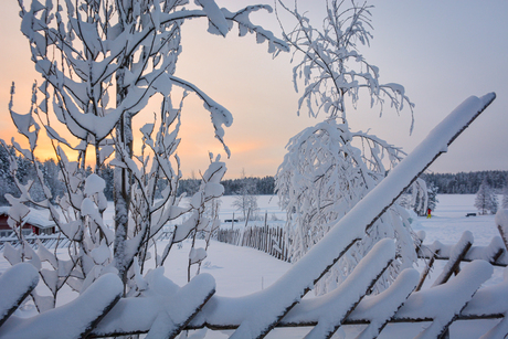 Winterwonderland in Fins Lapland