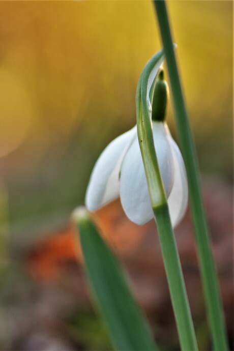 Lente kleuren