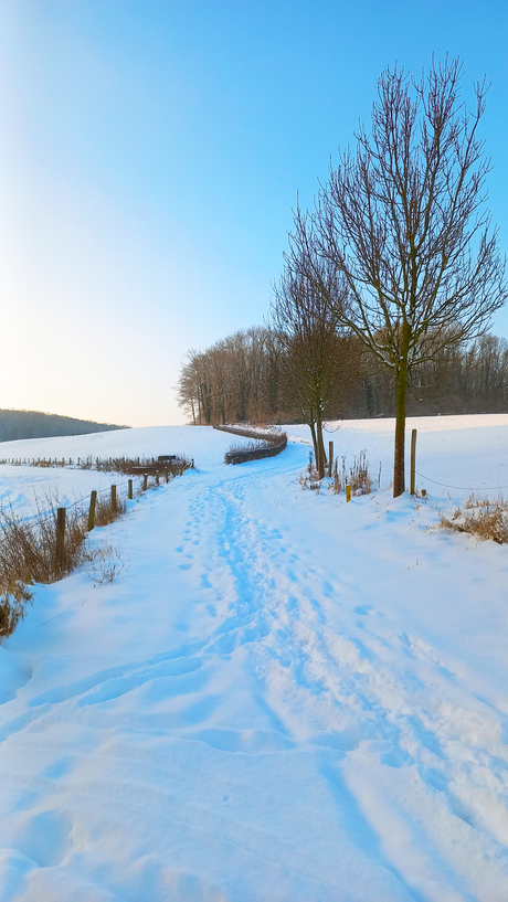 winterlandschap