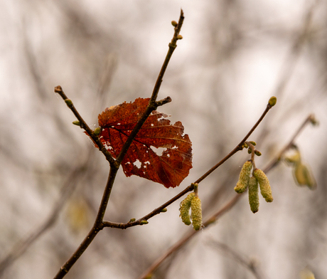 Oud & nieuw in kleur