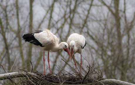 gezellig samen werken