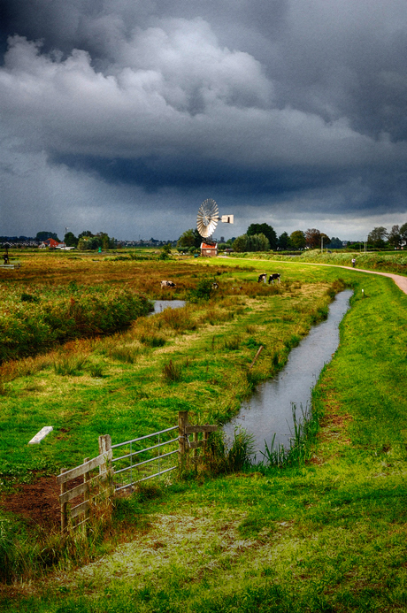 blijft niet lang droog