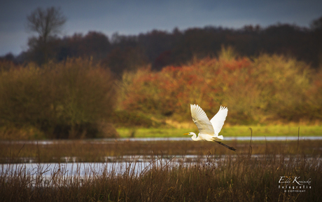 Wat kan de natuur toch mooi zijn! 