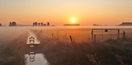 Nevelig polderlandschap bij zonsopkomst