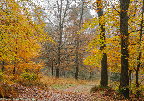 Herfst