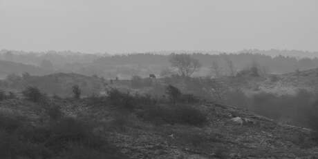 Panorama in zwart wit in het Wisenten Landschap