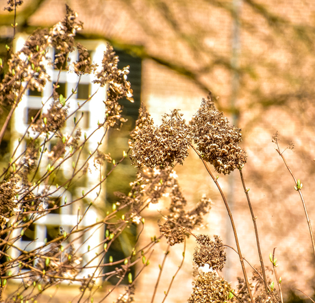 landgoed hackfort Vorden