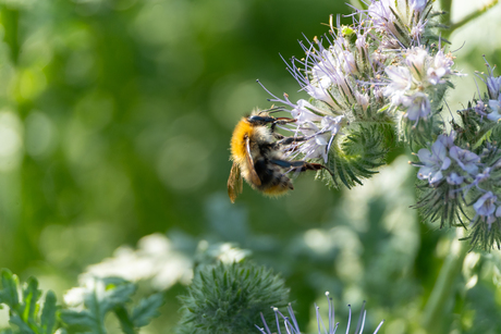Summerschool Opdracht 1 - Macro