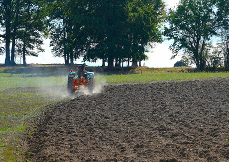 Droogte