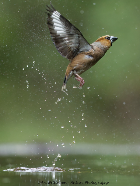 Schoongewassen de lucht in