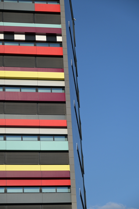 Kleuren in de avondzon