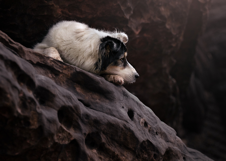 Alone Among the Stones