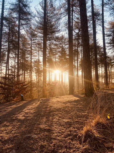 Zonsopgang 