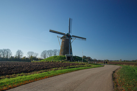 de molen in zijn kleur