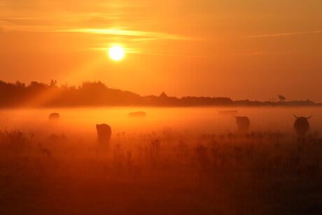 Zonsopkomst Texel