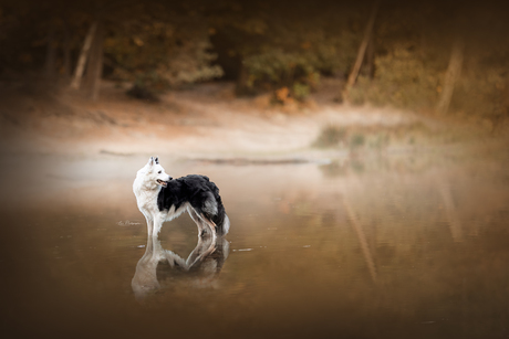 Soda in het water