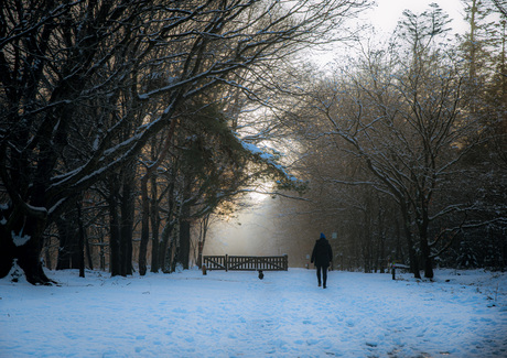 Ollie & Wendy in de sneeuw