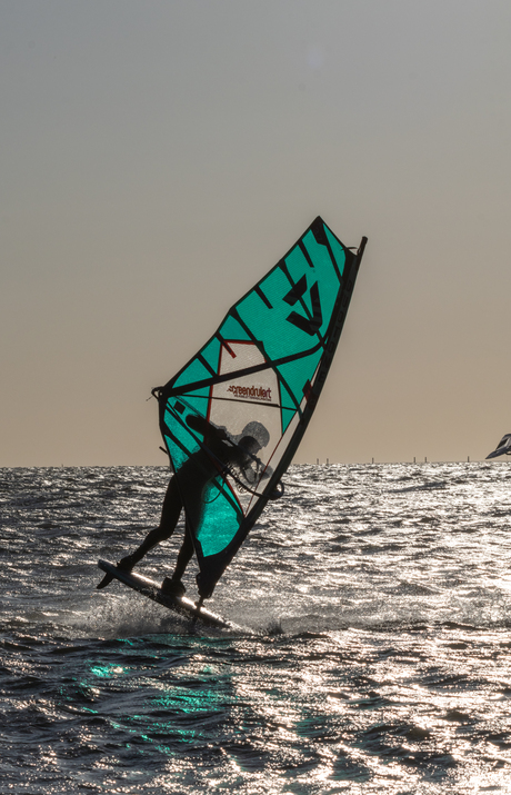 Windsurfer