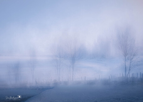 Winterse stilte in de mist.