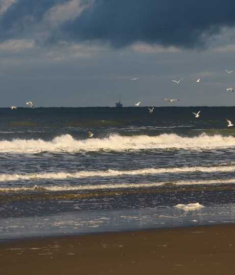 Strand op Texel